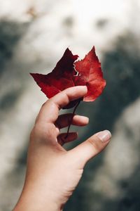 Превью обои рука, листья, осень, фокус