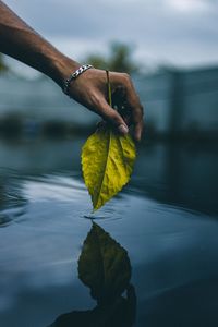 Превью обои рука, листок, вода, касание