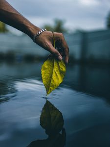 Превью обои рука, листок, вода, касание