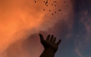 Превью обои рука, небо, птицы, облака, сумерки