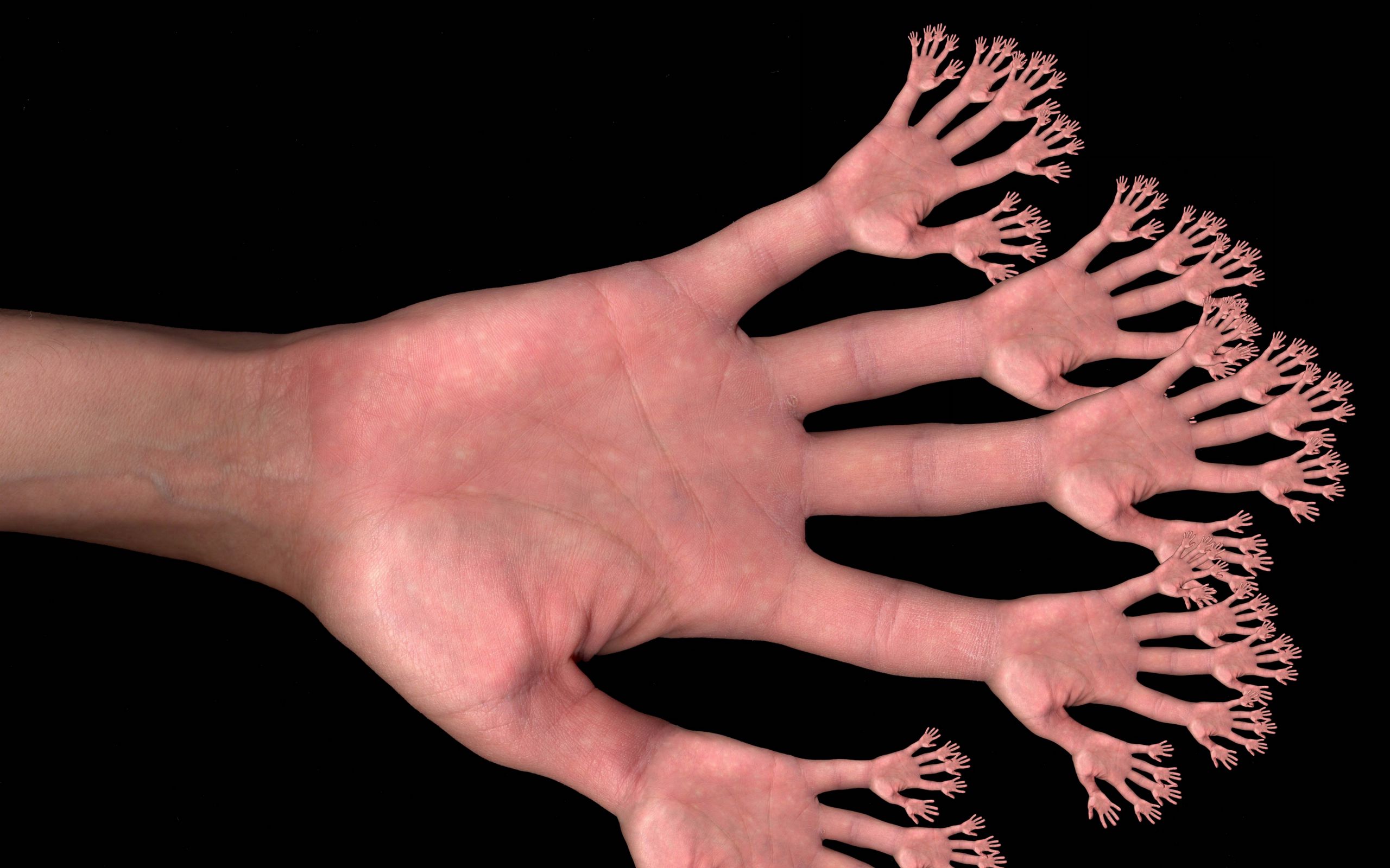 Пальцы рук и мозг. Рука. Руки загребущие. Человеческая рука.
