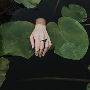 Превью обои рука, перстень, кувшинки, листья, вода