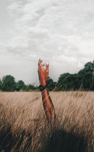 Превью обои рука, поле, трава, облака