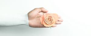 Превью обои рука, роза, минимализм, цветок, стена