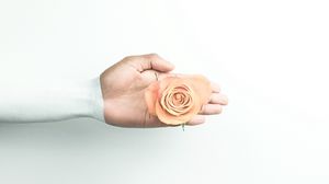 Превью обои рука, роза, минимализм, цветок, стена