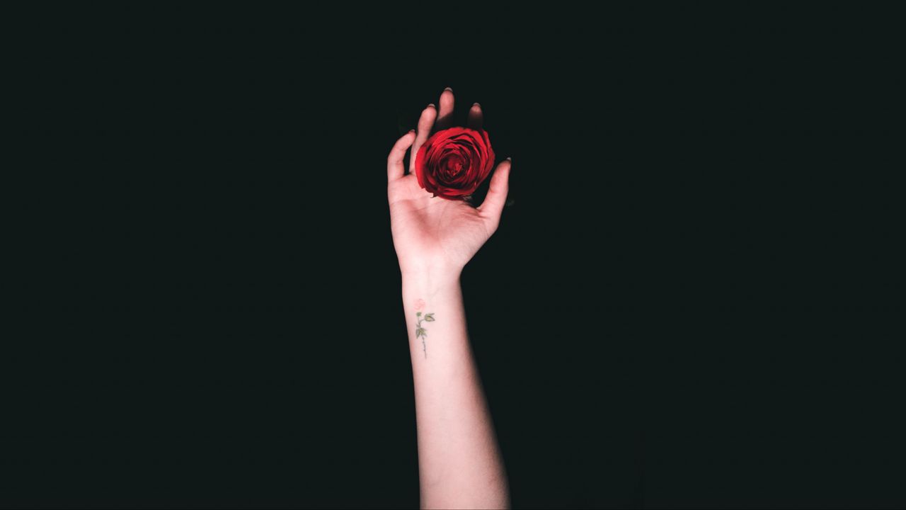 Обои рука, розы, татуировка, минимализм
