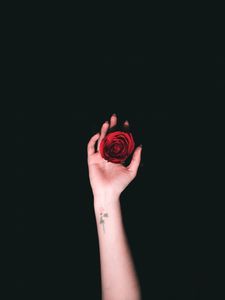 Превью обои рука, розы, татуировка, минимализм