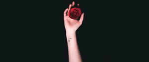 Превью обои рука, розы, татуировка, минимализм