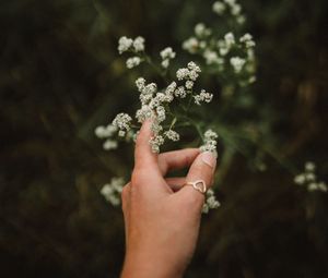 Превью обои рука, цветы, пальцы, кольцо