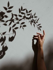 Превью обои рука, ветка, тень, стена