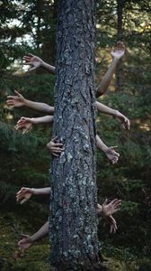Превью обои руки, дерево, фотошоп, лес