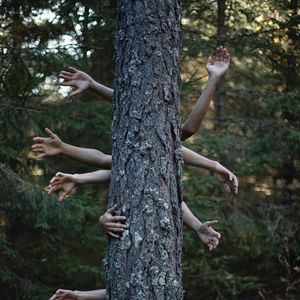 Превью обои руки, дерево, фотошоп, лес