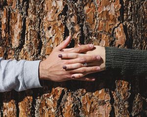 Превью обои руки, дерево, пара, любовь