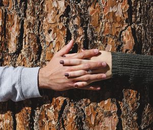 Превью обои руки, дерево, пара, любовь