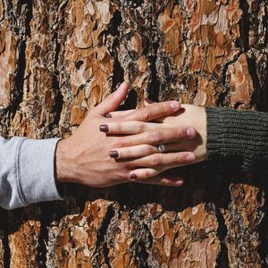 Превью обои руки, дерево, пара, любовь