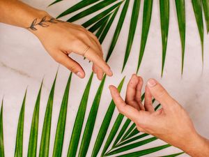 Превью обои руки, касание, любовь, листья, пальма