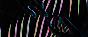 Превью обои руки, касание, пальма, листья, темный