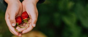 Превью обои руки, клубника, ягода, фрукты, фокус
