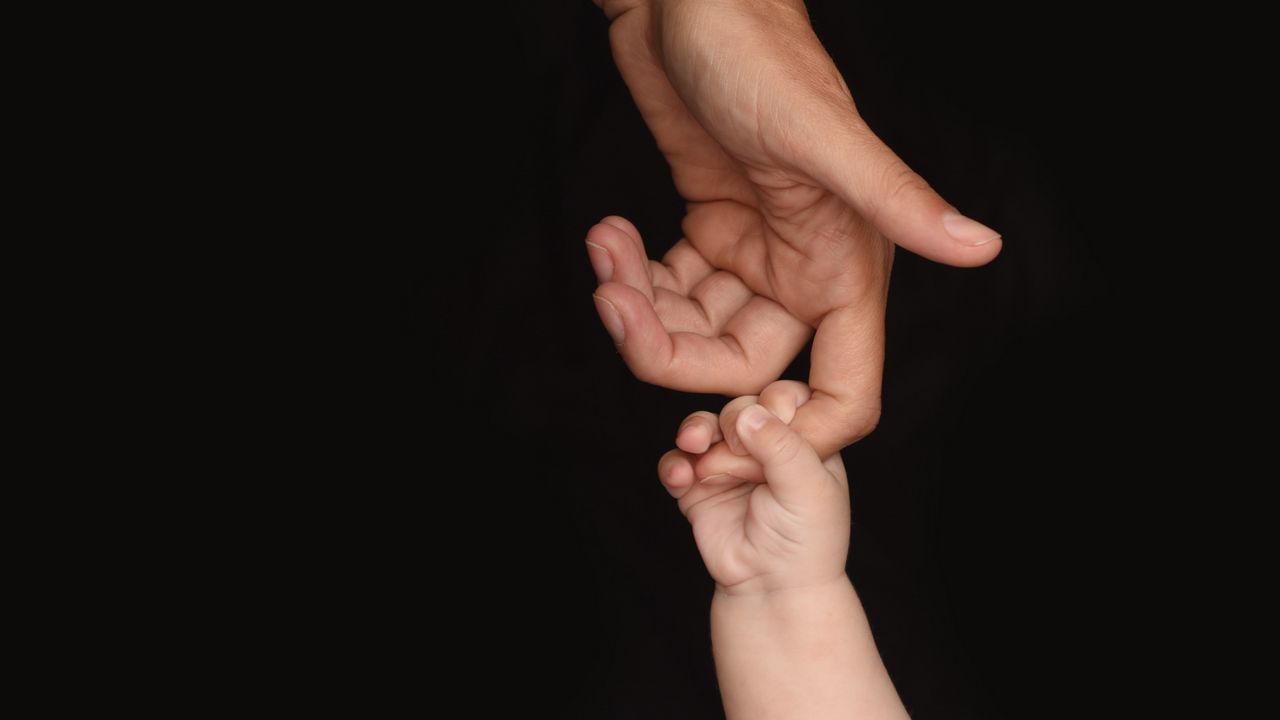 Обои руки, пальцы, касание, ребенок, родитель