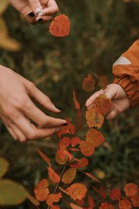 Превью обои руки, пальцы, листья, ветки, осень