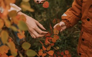 Превью обои руки, пальцы, листья, ветки, осень
