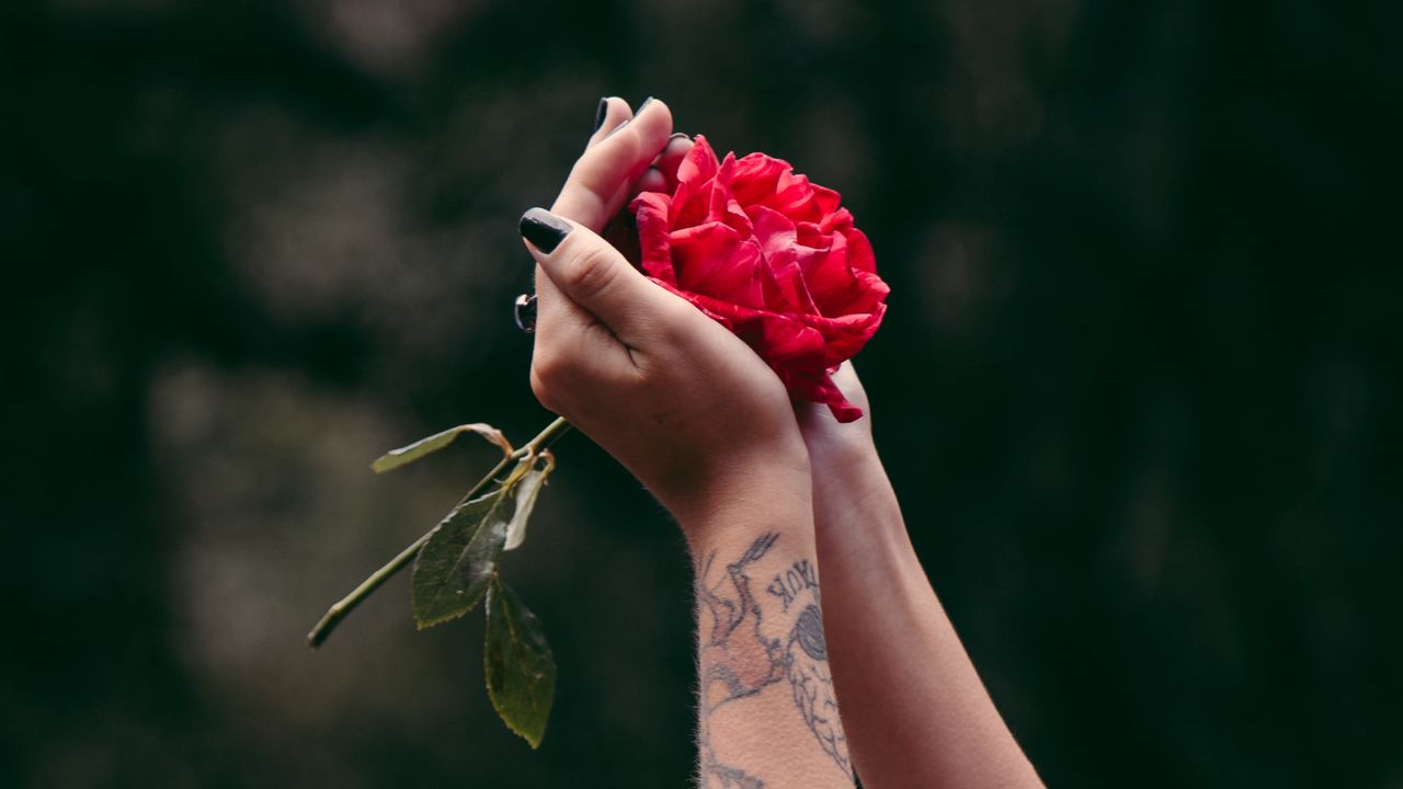 Обои руки, роза, татуировки