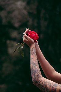 Превью обои руки, роза, татуировки