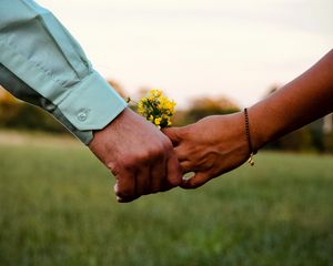 Превью обои руки, цветы, касание, любовь
