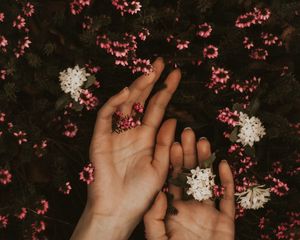 Превью обои руки, цветы, листья, нежность