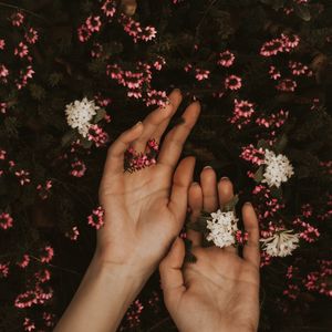 Превью обои руки, цветы, листья, нежность