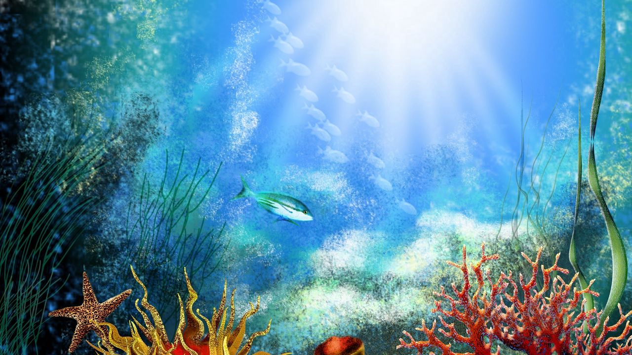 Обои рыба, под водой, водоросли, растительность, свет