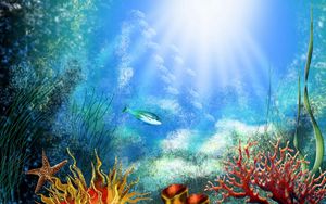 Превью обои рыба, под водой, водоросли, растительность, свет