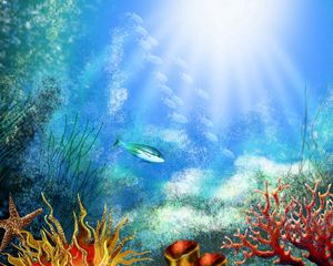 Превью обои рыба, под водой, водоросли, растительность, свет