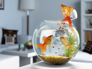 Превью обои рыбы, аквариум, плавать, стол, стекло
