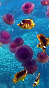 Превью обои рыбы, медузы, подводный мир, плавать