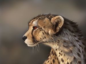 Превью обои рысь, хищник, арт, большая кошка, дикая природа