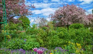 Превью обои сад, деревья, цветы, кусты, пейзаж, hdr