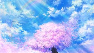 Превью обои сакура, радуга, арт, цветение, небо, облака