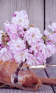 Превью обои сакура, цветы, букет, ваза