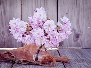 Превью обои сакура, цветы, букет, ваза