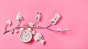Превью обои сакура, цветы, часы, будильник, минимализм, розовый