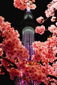Превью обои сакура, цветы, ветки, башня, подсветка