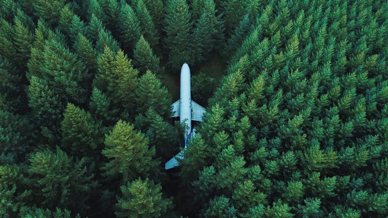 Обои самолет, деревья, вид сверху