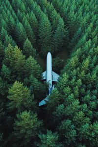 Превью обои самолет, деревья, вид сверху