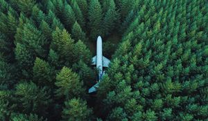 Превью обои самолет, деревья, вид сверху