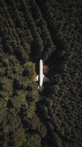 Превью обои самолет, лес, вид сверху, деревья, верхушки