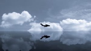 Превью обои самолет, небо, отражение, облака, полет, зеркальный