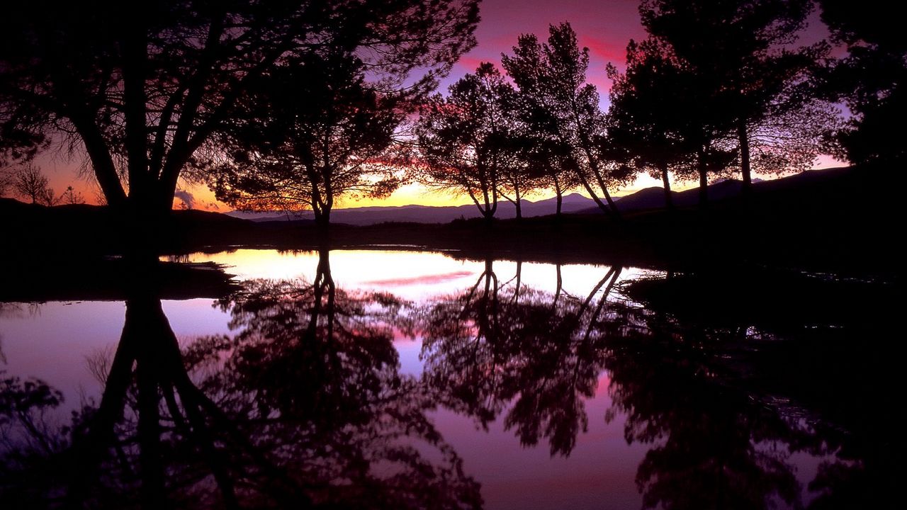 Обои санта-кларита, калифорния, деревья, озеро, отражение
