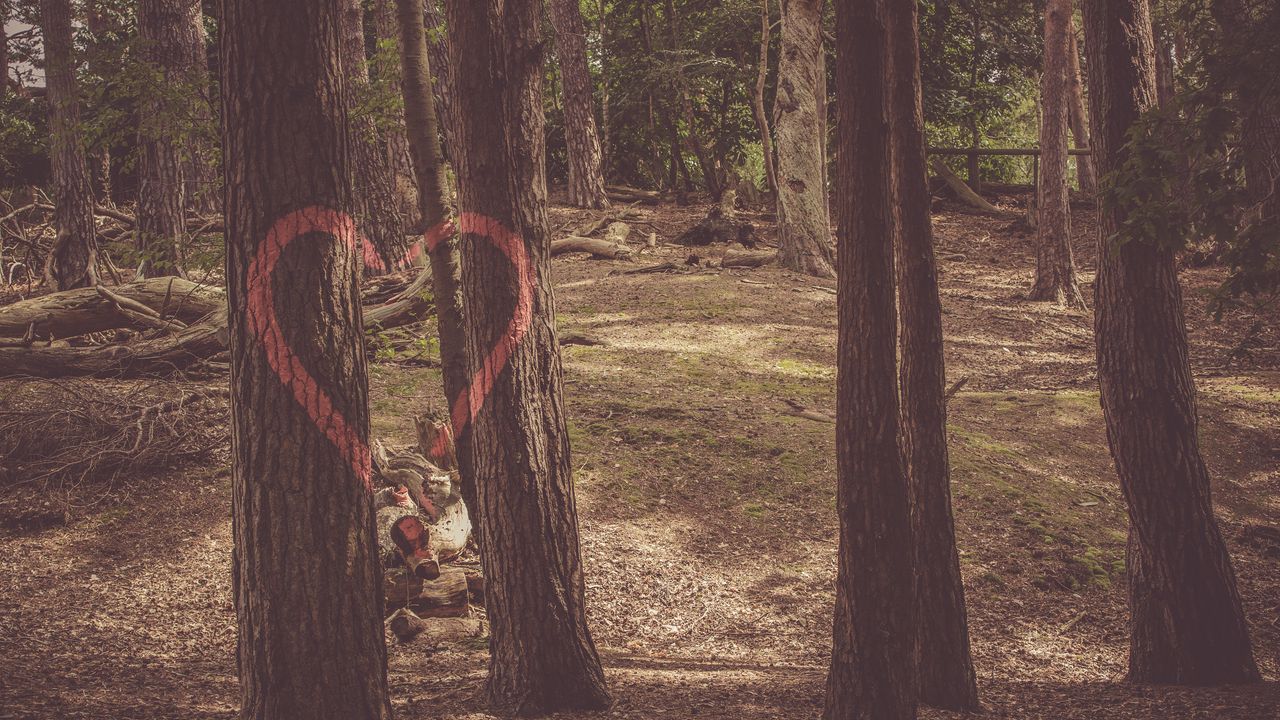 Обои сердце, деревья, краска, романтика