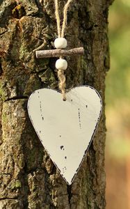 Превью обои сердце, кора, дерево, любовь